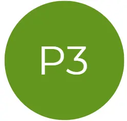 IRVE P3
