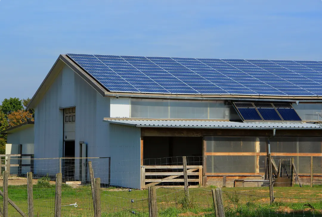 Panneaux photovoltaïques sur bâtiment agricole